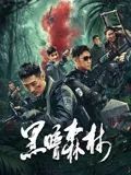 陈砚